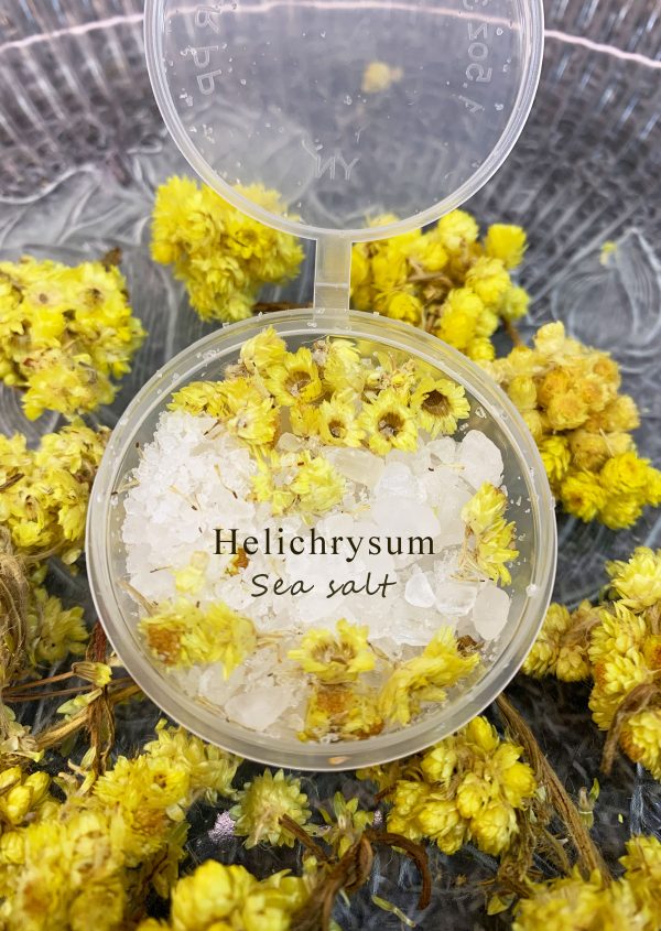 Helichrysum