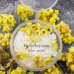 Helichrysum